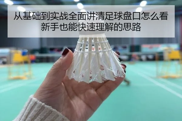 从基础到实战全面讲清足球盘口怎么看新手也能快速理解的思路
